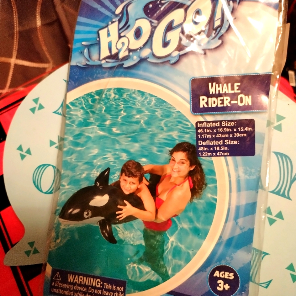 🌻5/$10 Dolphin water Ride